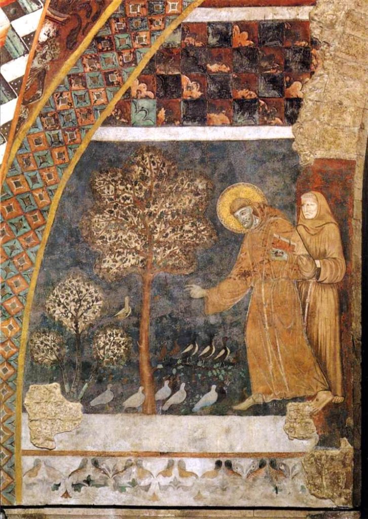 Animism - Religion's Depths